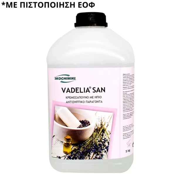 Κρεμοσάπουνο-Απολυμαντικό Vadelia San 5kg